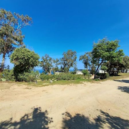 Calvi Mobil-Home Neuf Particulier Sur Camping Lumio  Extérieur photo